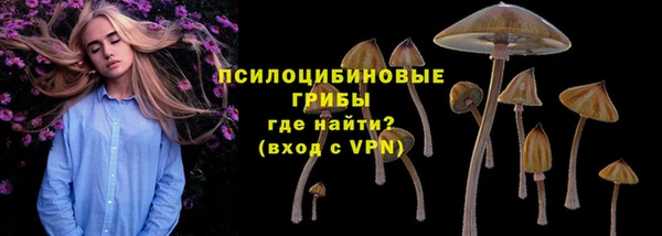 винт Богородицк